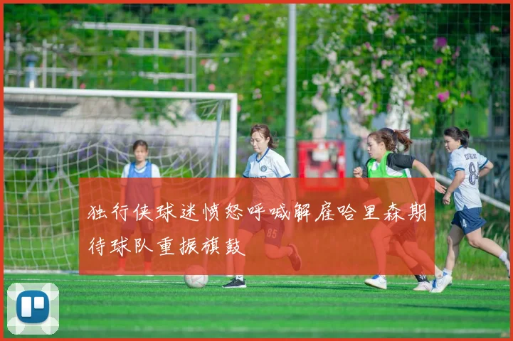 独行侠球迷愤怒呼喊解雇哈里森期待球队重振旗鼓