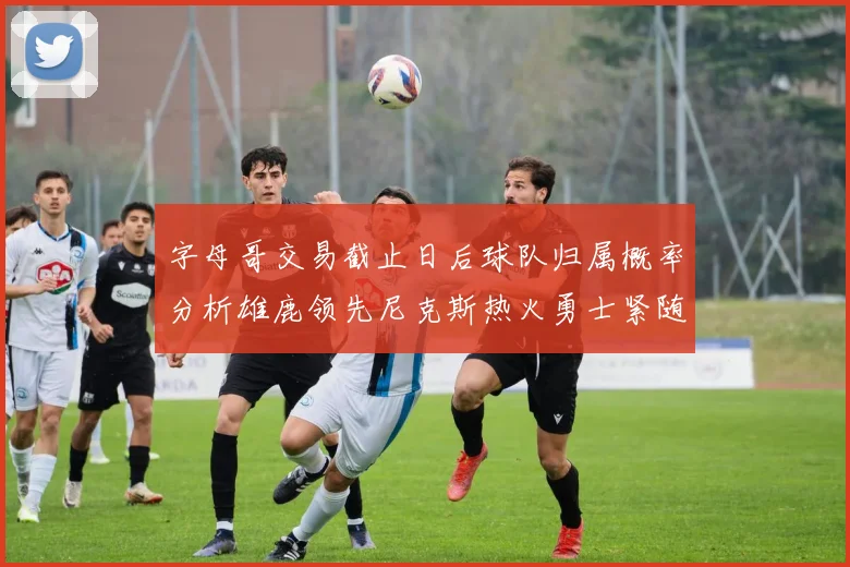字母哥交易截止日后球队归属概率分析雄鹿领先尼克斯热火勇士紧随其后